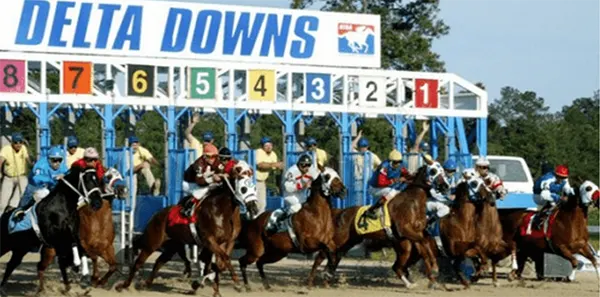 delta downs racetrack