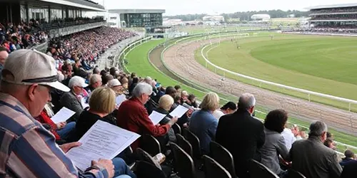 reading horse racing forms image