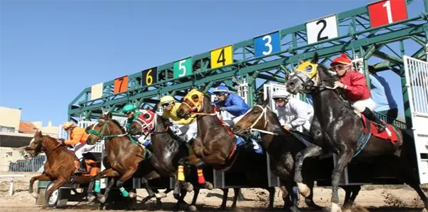 rillito park racetrack